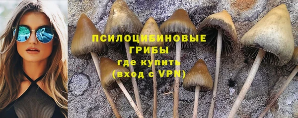 гидропоника Заводоуковск