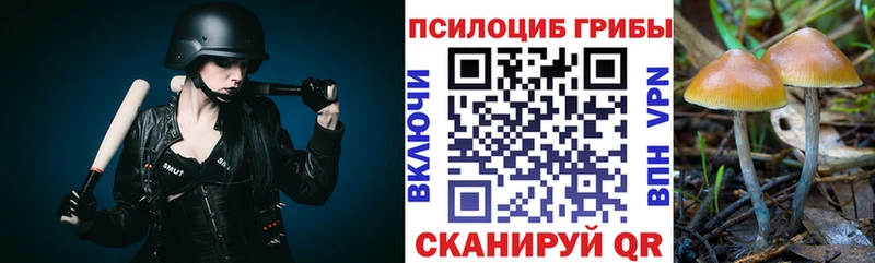 Галлюциногенные грибы Cubensis  Иланский 